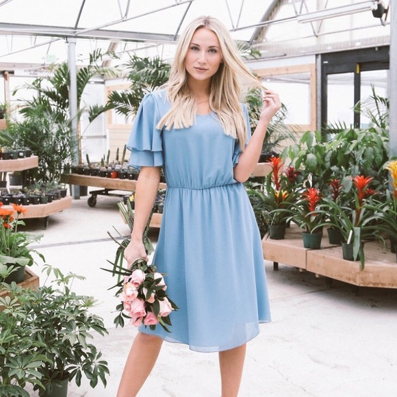 Mikarose Dresses & Skirts - JessaKae Frances Chiffon Dress (BNWT)